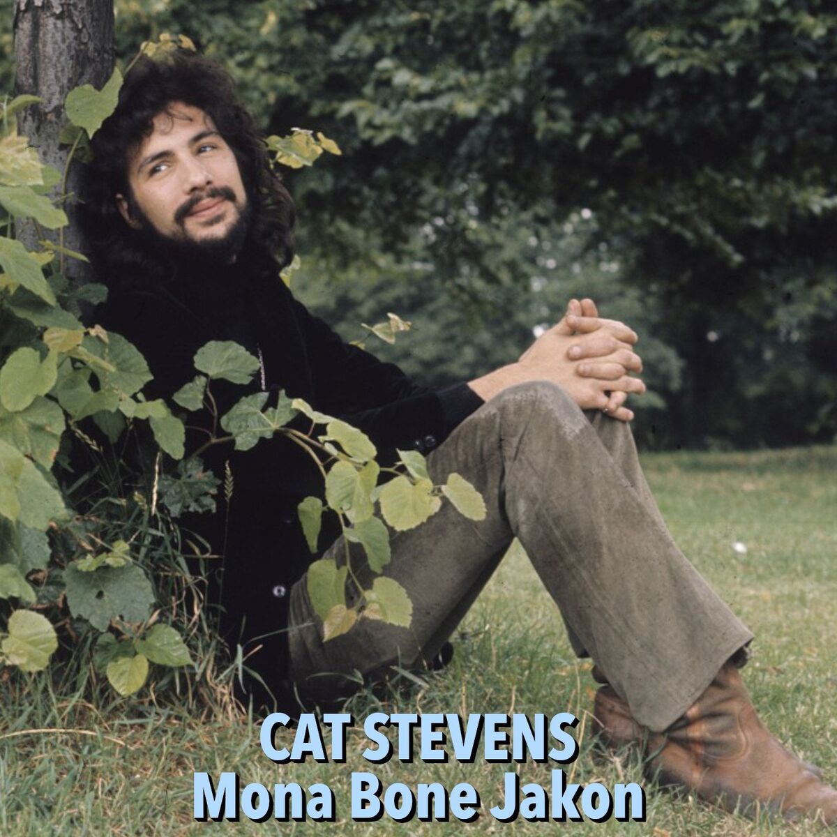 Album cover of Mona Bone Jakon
