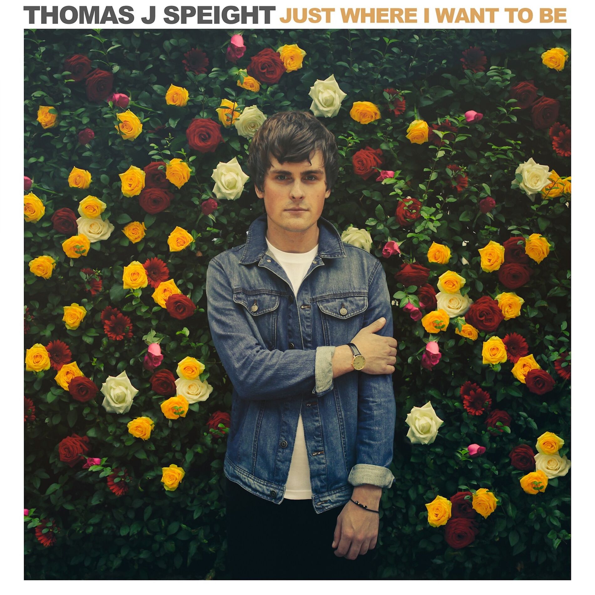 Album cover of Just Where I Want to Be