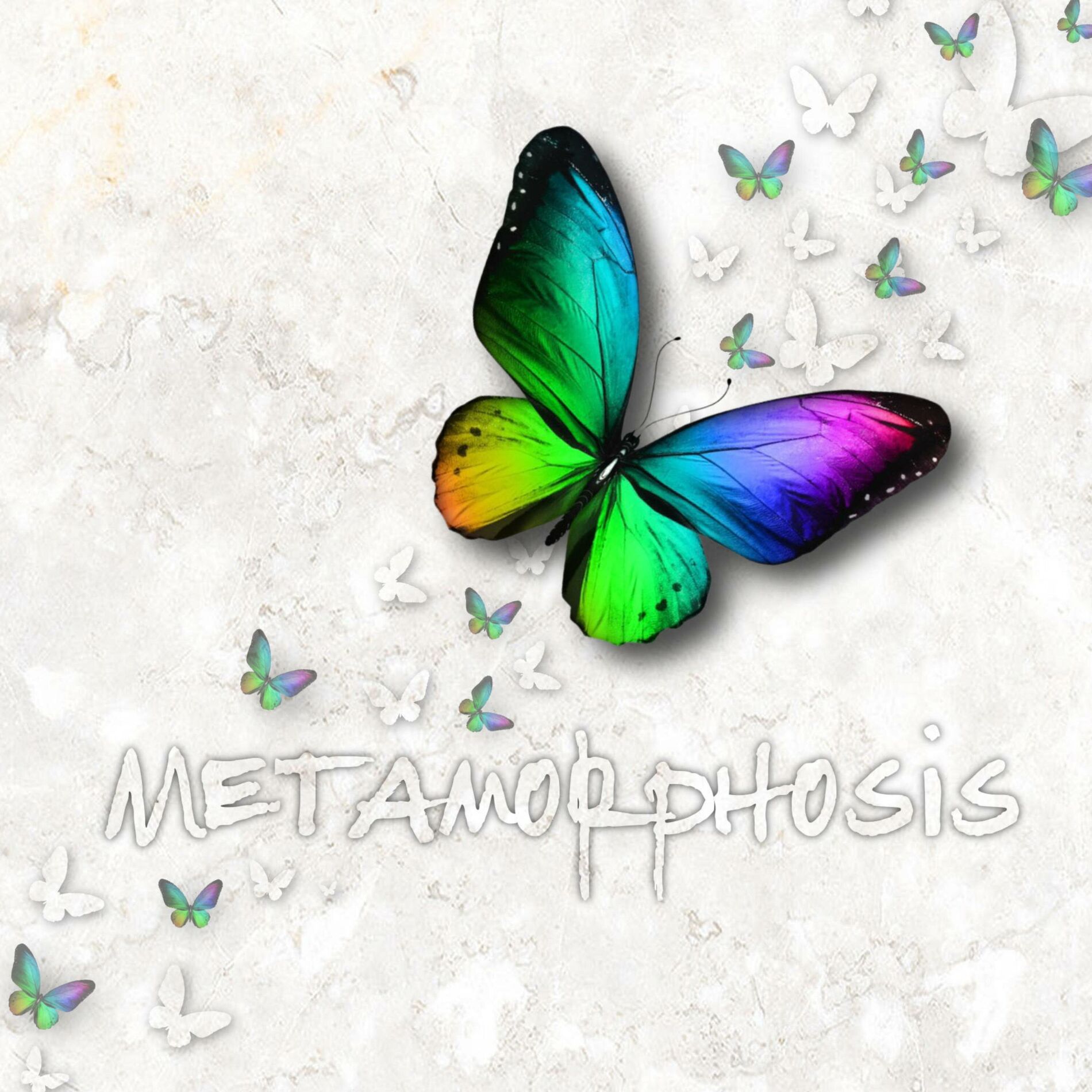 Album cover of Metamorphosis