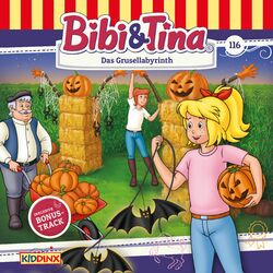 Cover of Folge 116: Das Grusellabyrinth
