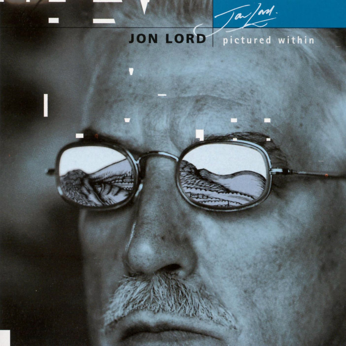 Album cover of Pictured Within