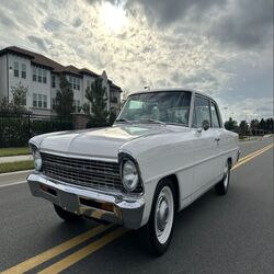 Cover of Cool