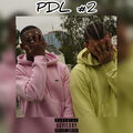 PDL #2