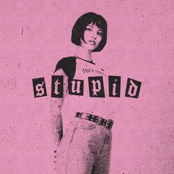 Cover of Stupid