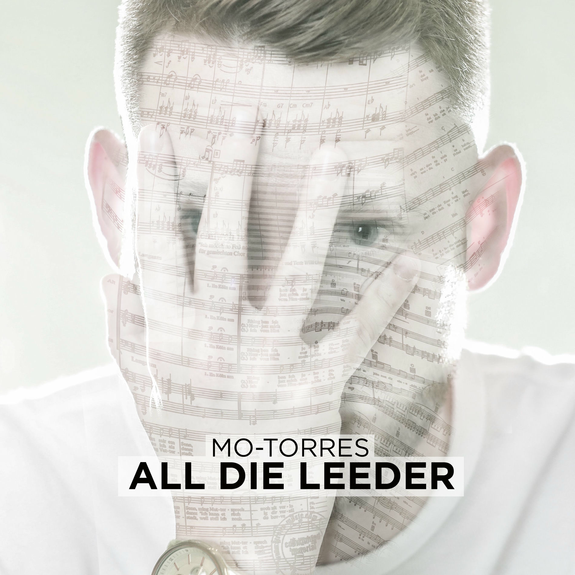 Album cover of All die Leeder