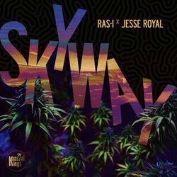 Cover of Sky Way