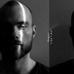 Cover of Like I Am