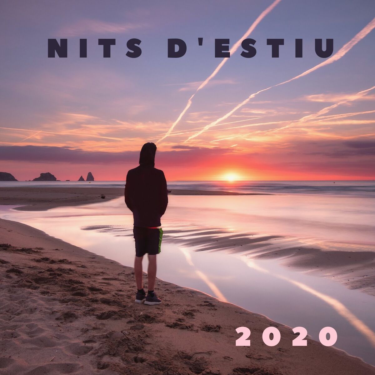 Album cover of Nits D'Estiu (2020)