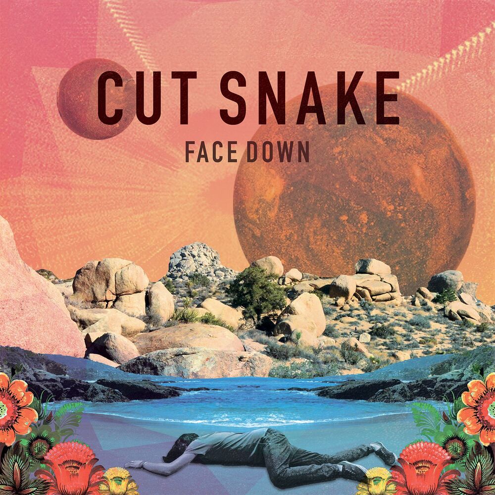 Picture of Face Down