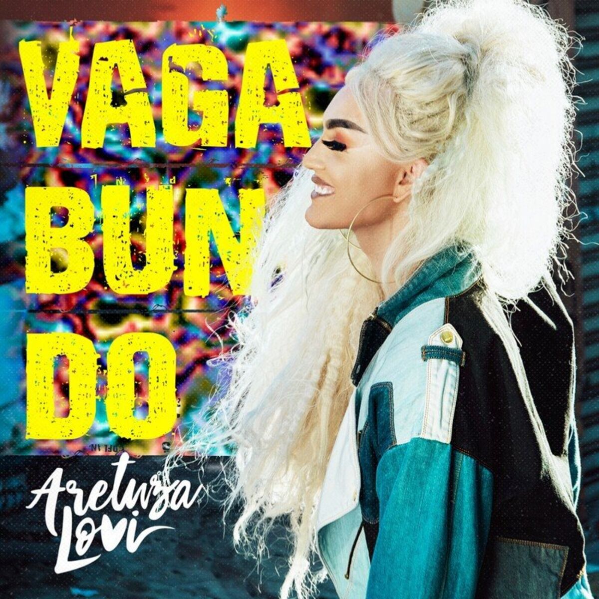 Album cover of Vagabundo