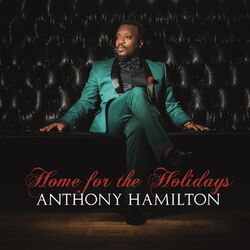 Cover of Home For The Holidays