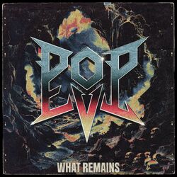 Cover of What Remains