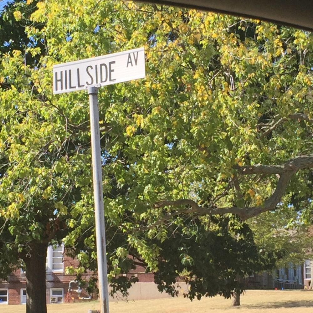 Picture of There's More Shadows on the Backroads