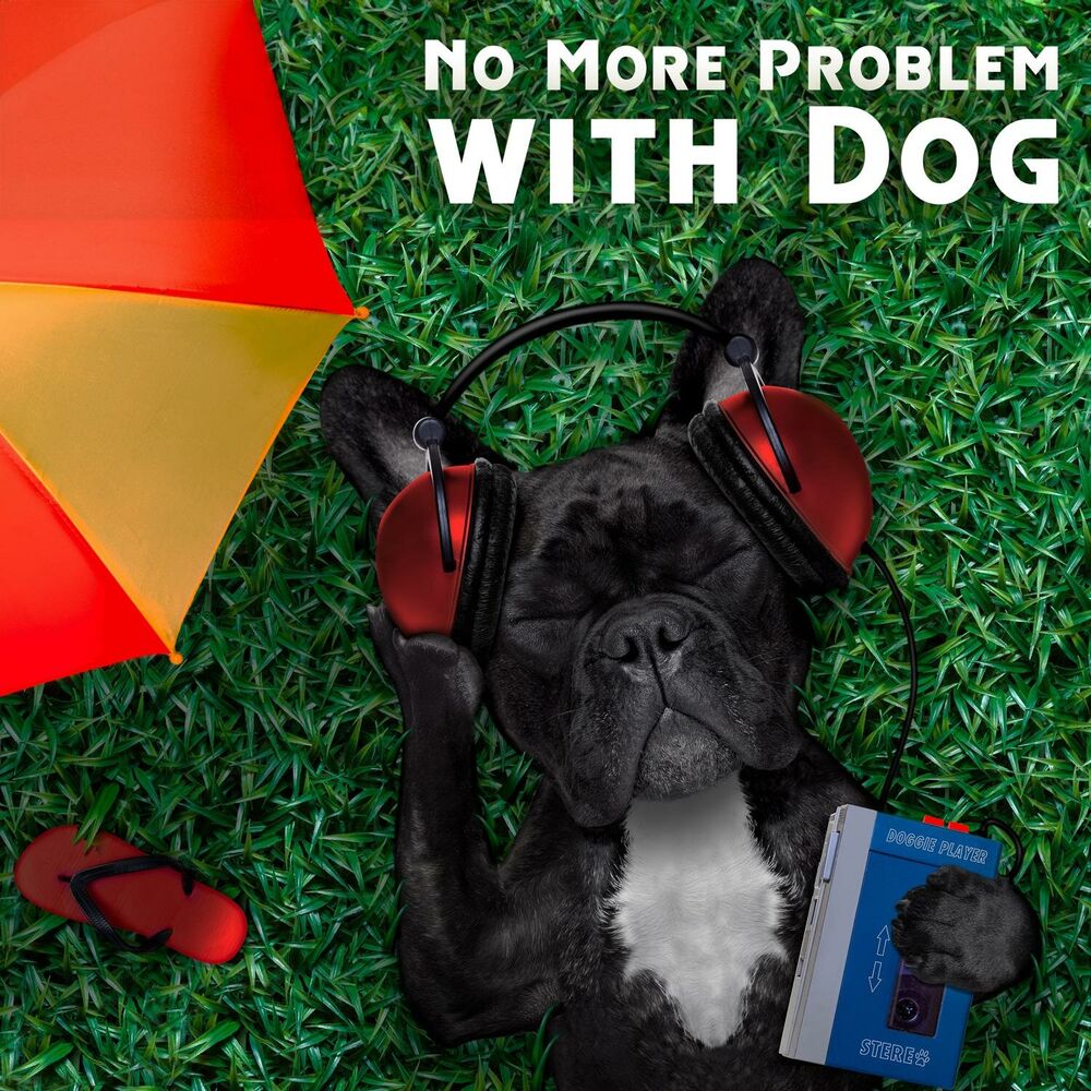Picture of No More Problem with Dog: Calming Dogs Therapy Music while You Are Out