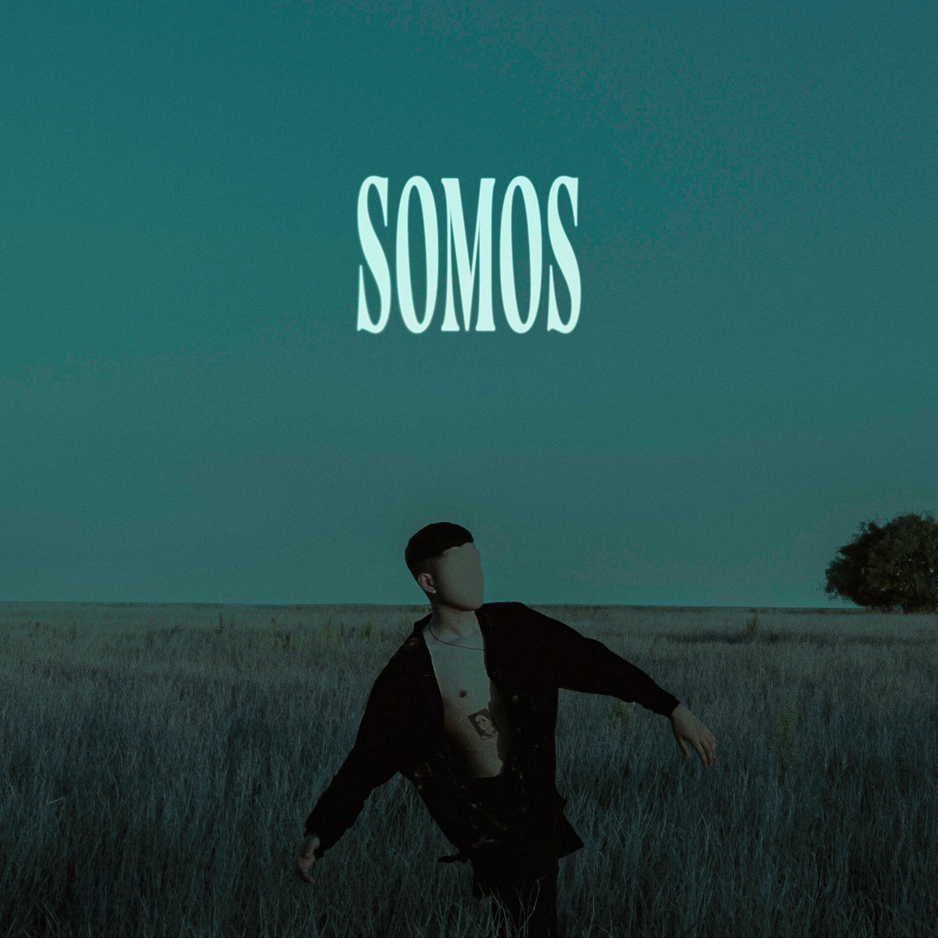 Album cover of Somos
