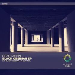 Cover of Black Obsidian