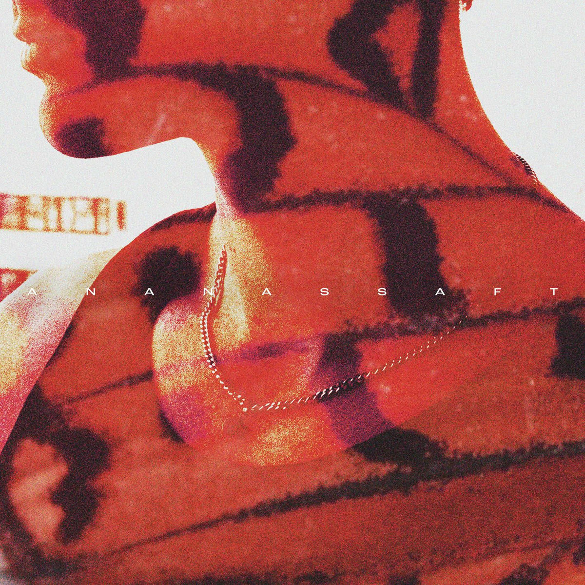 Album cover of T14 - „ANANASSAFT“