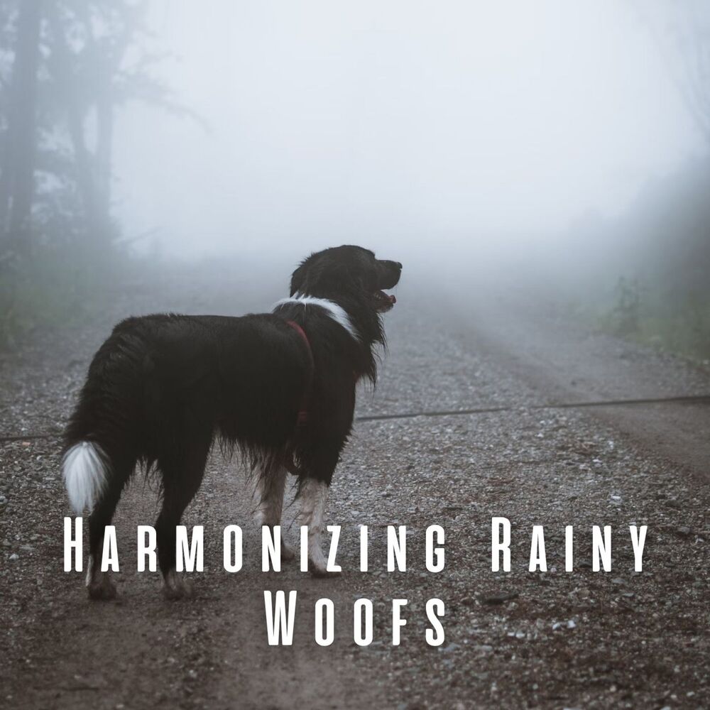 Picture of Harmonizing Rainy Woofs: Binaural Theta Waves for Dogs