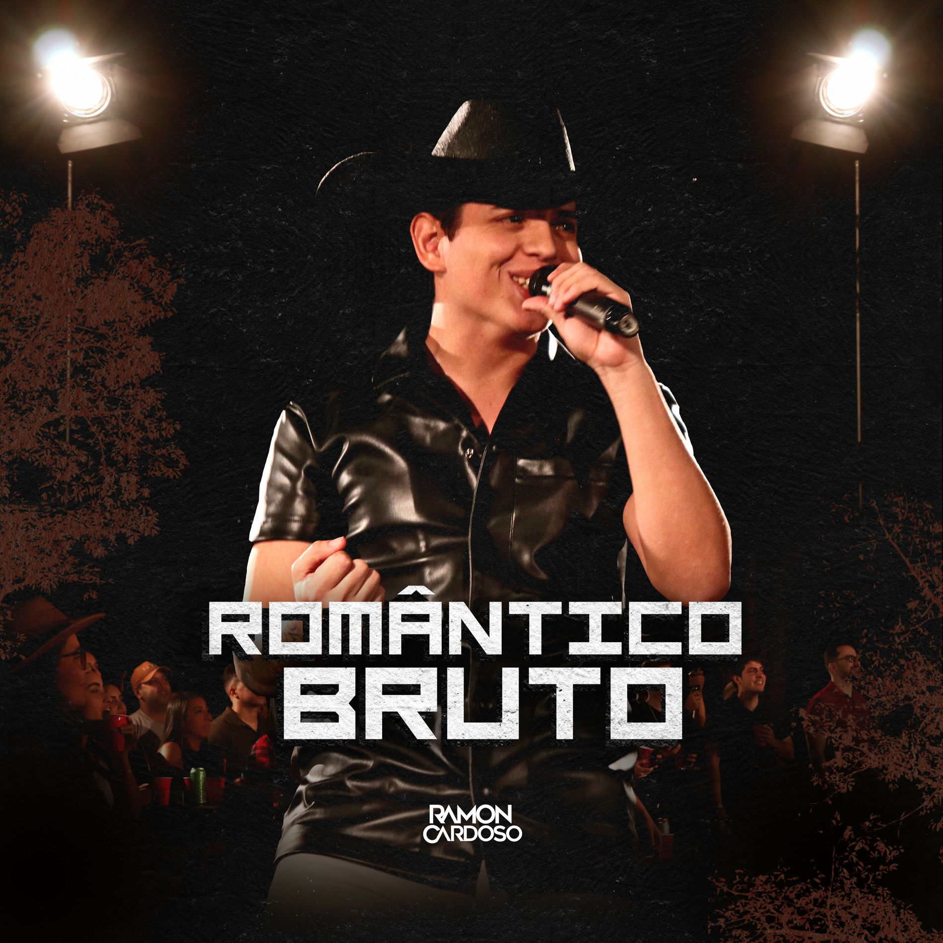 Album cover of Romântico Bruto