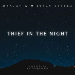 Cover of Thief in the Night