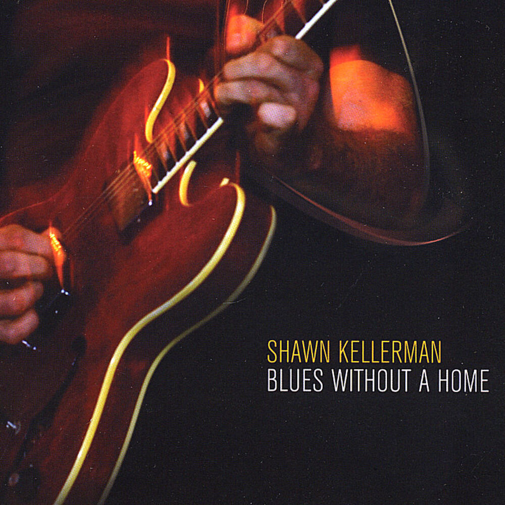 Picture of Blues Without a Home