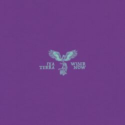 Cover of Wiser Now