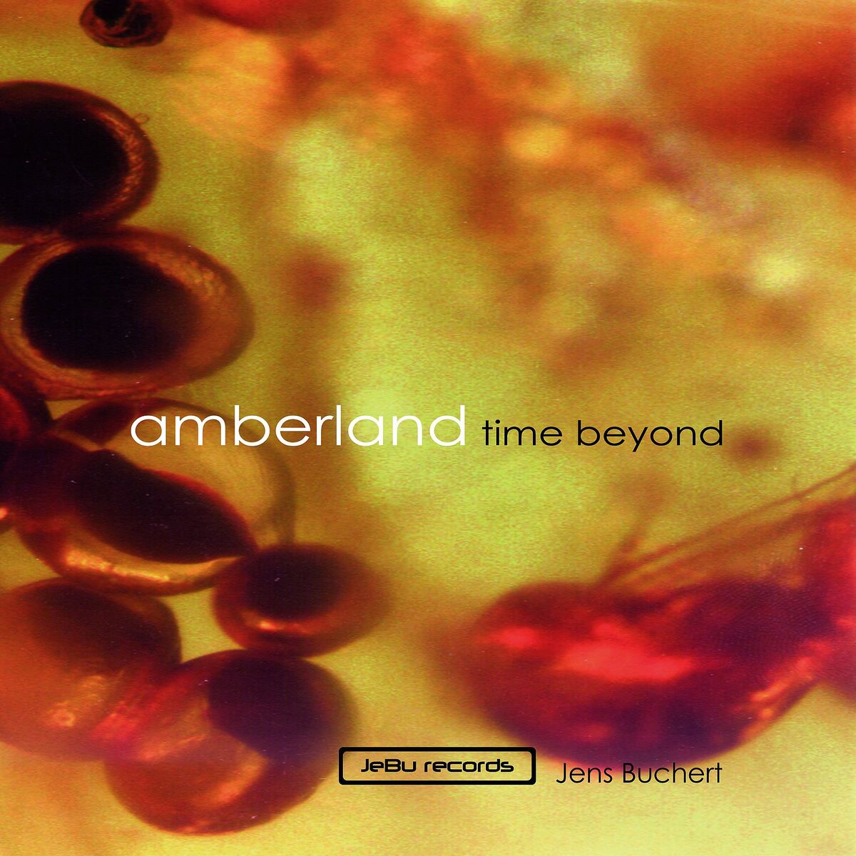 Album cover of Amberland - Time Beyond