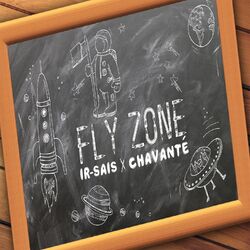 Cover of Fly Zone