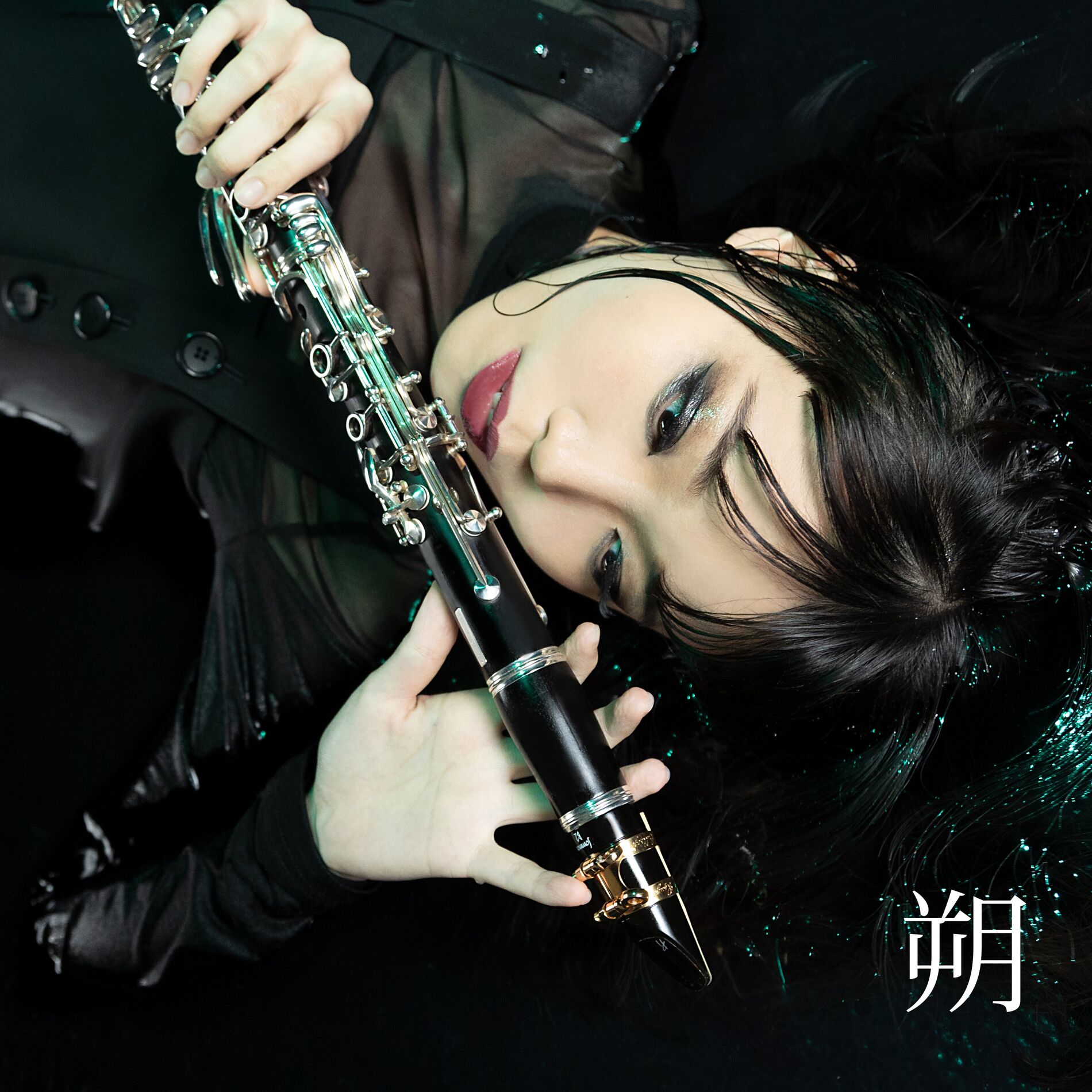 Album cover of Saku