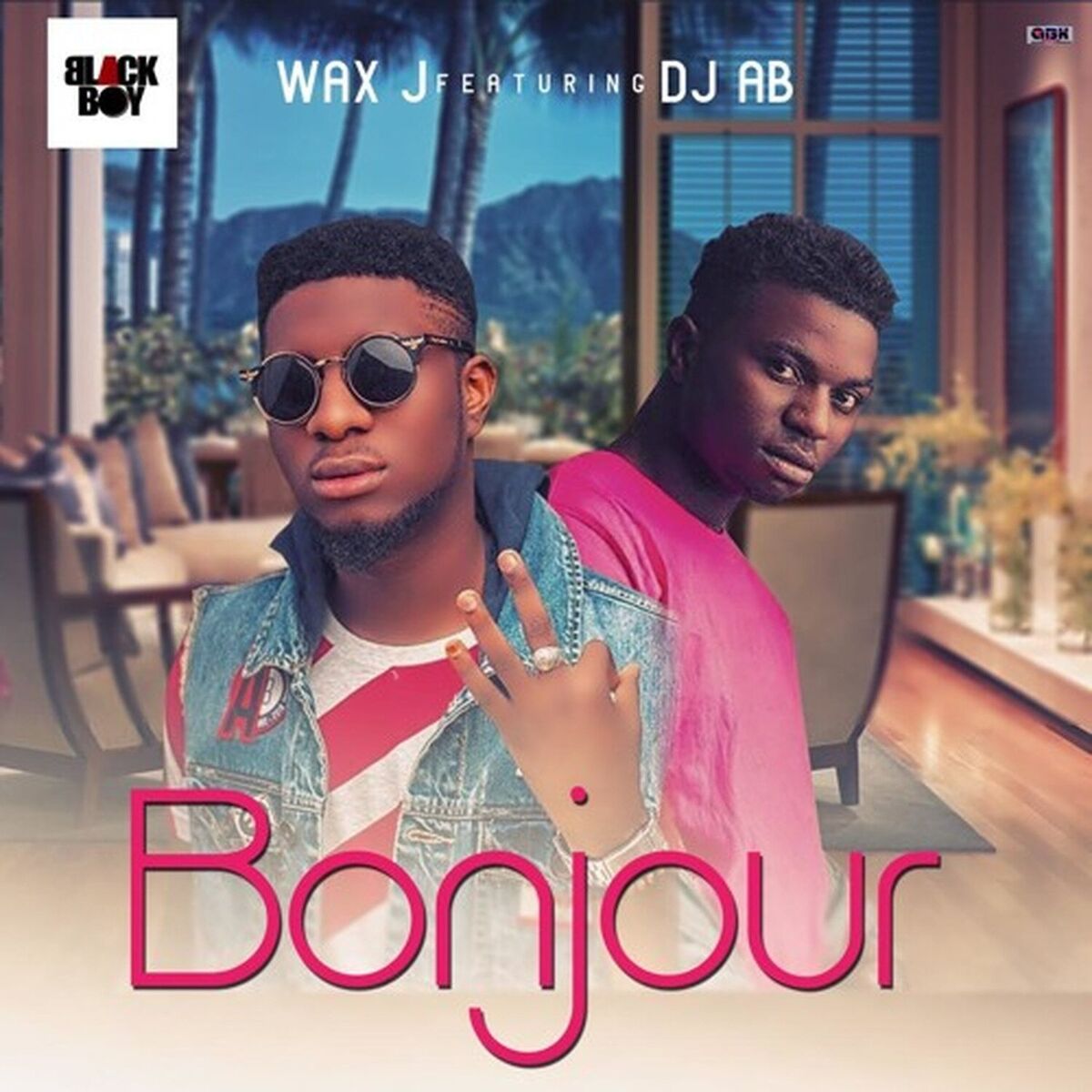 Album cover of Bonjour
