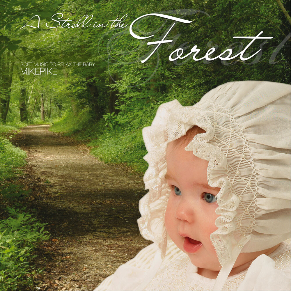 Picture of A Stroll In The Forest