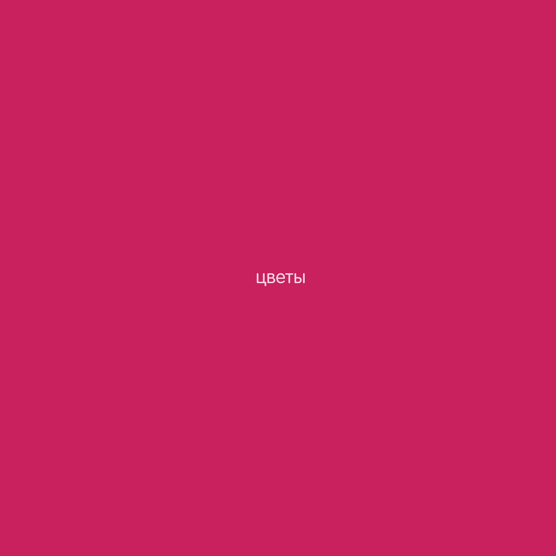 Album cover of У времени нет любви
