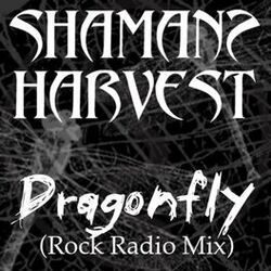 Cover of Dragonfly (Radio Mix)