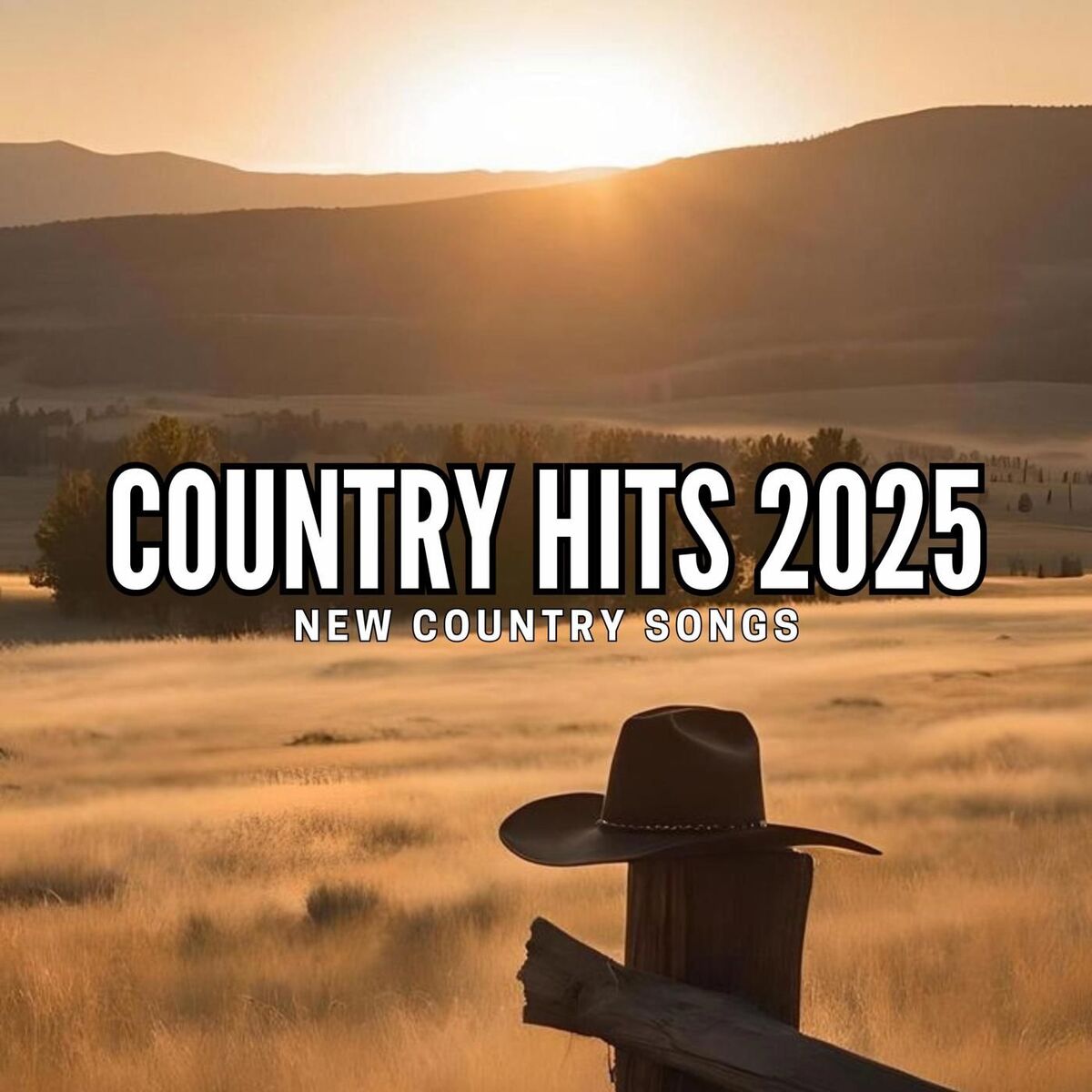 Album cover of Country Hits 2025 - New Country Songs