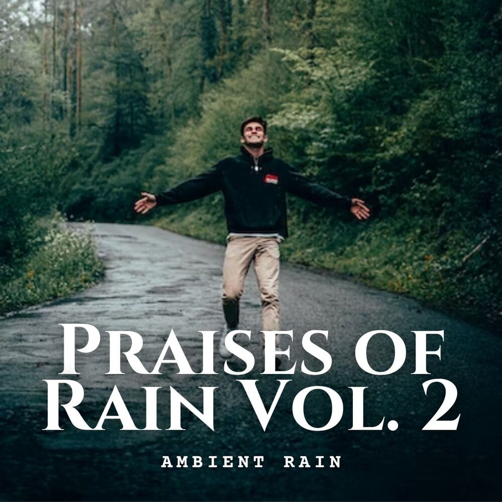 Picture of Ambient Rain: Praises of Rain Vol. 2
