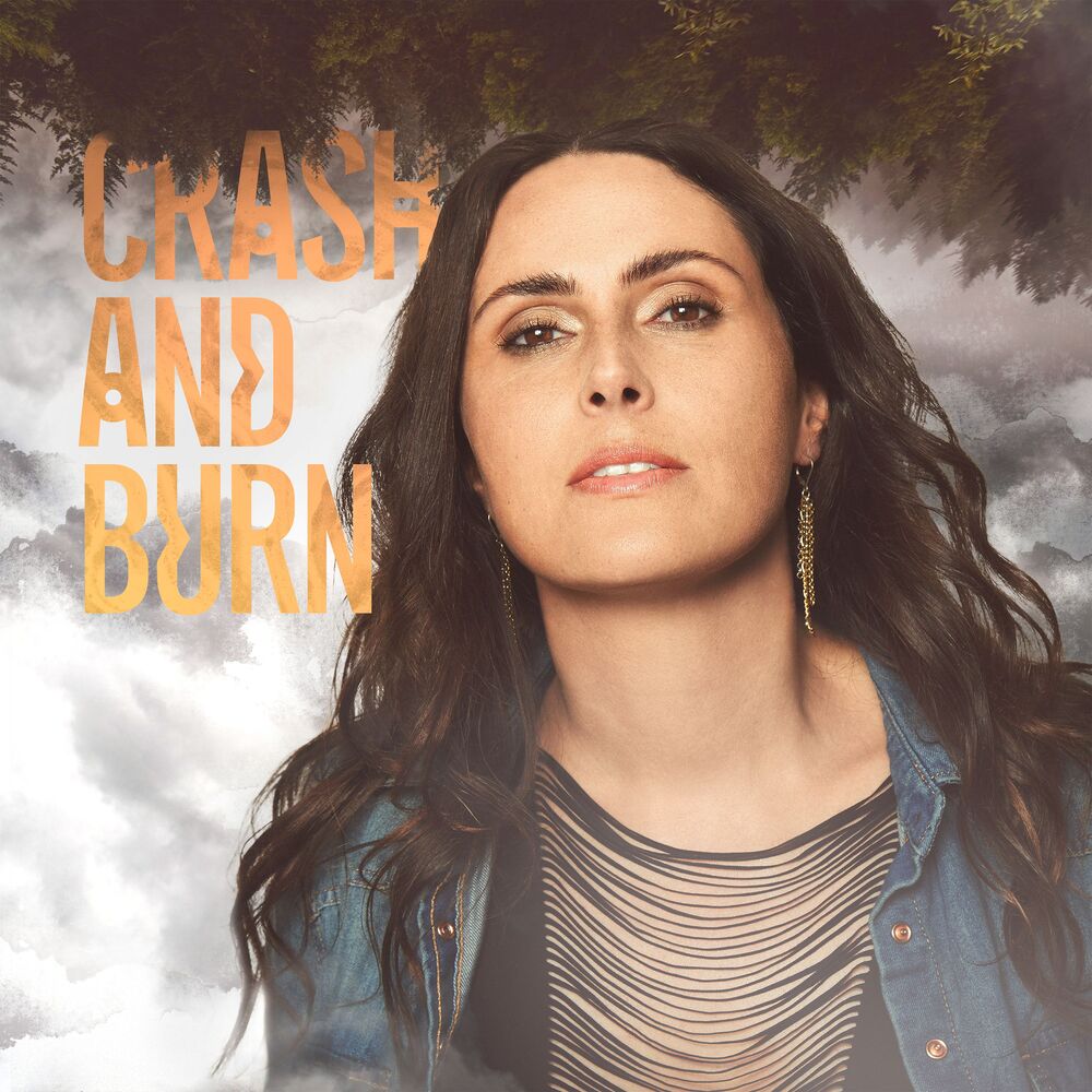 Picture of Crash and Burn