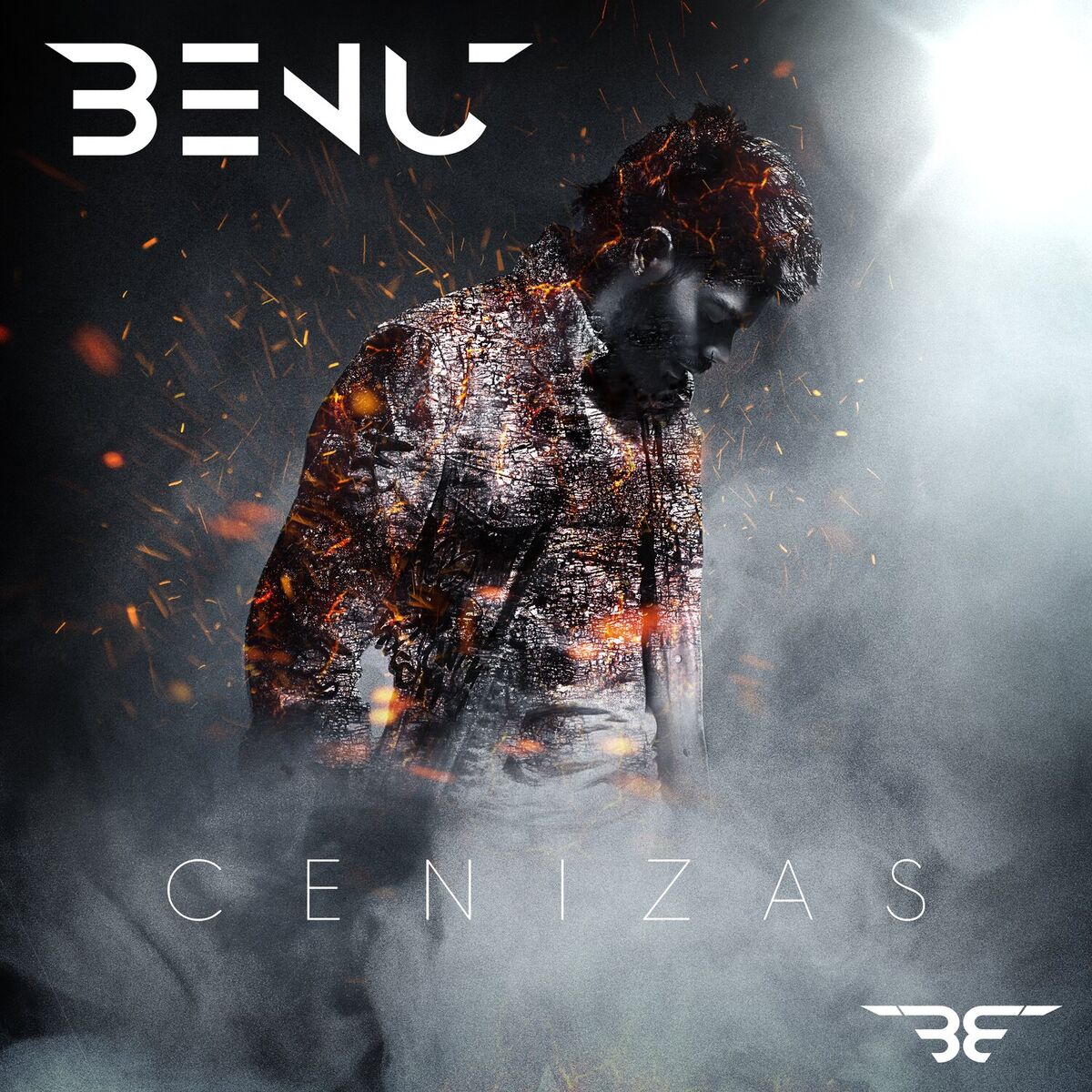 Album cover of CENIZAS