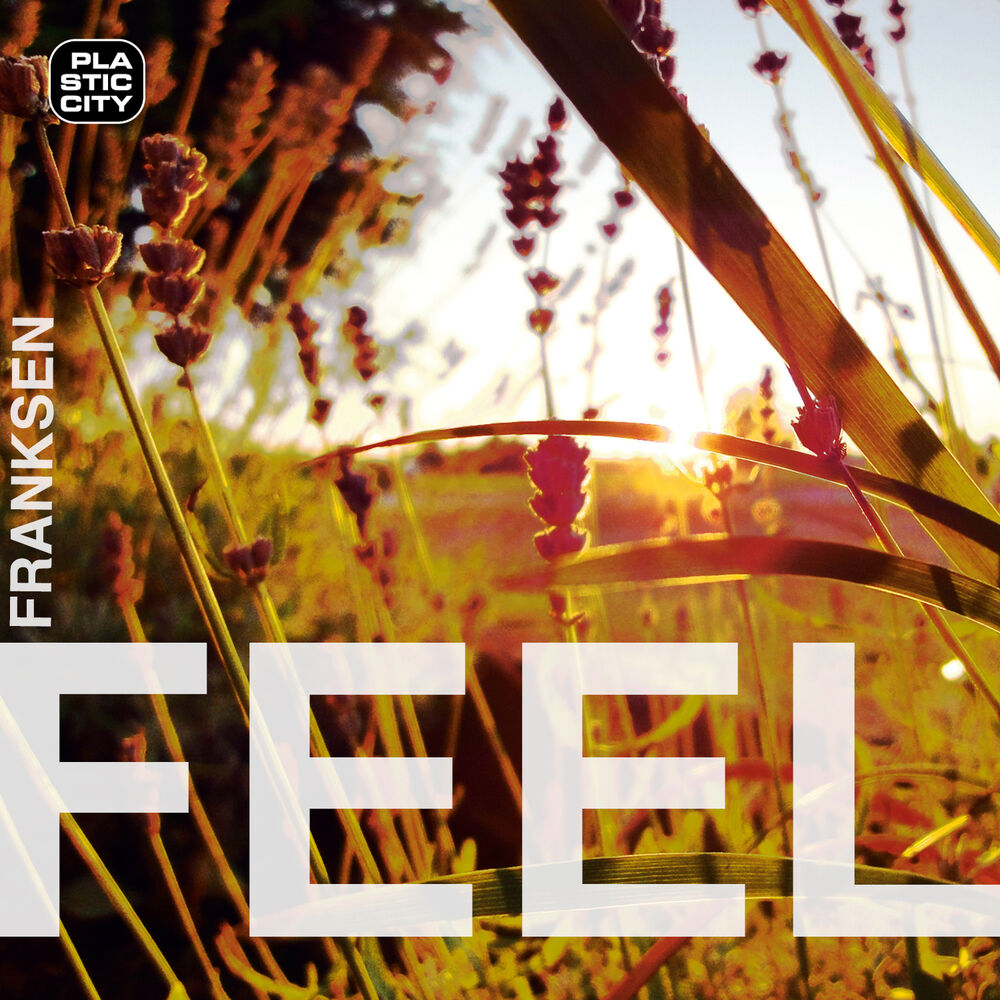 Picture of Franksen - Feel (MP3 Single)