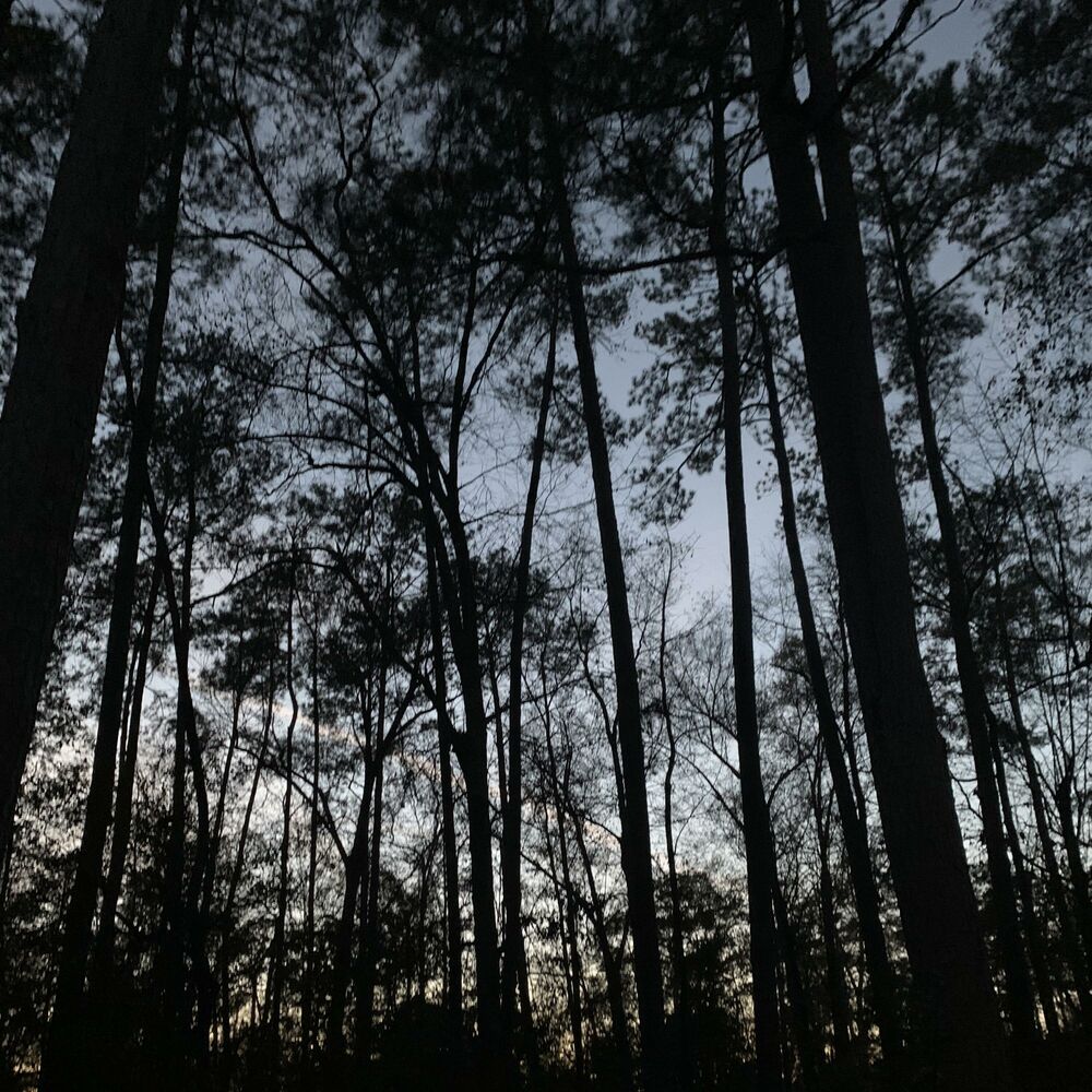 Picture of Dusk