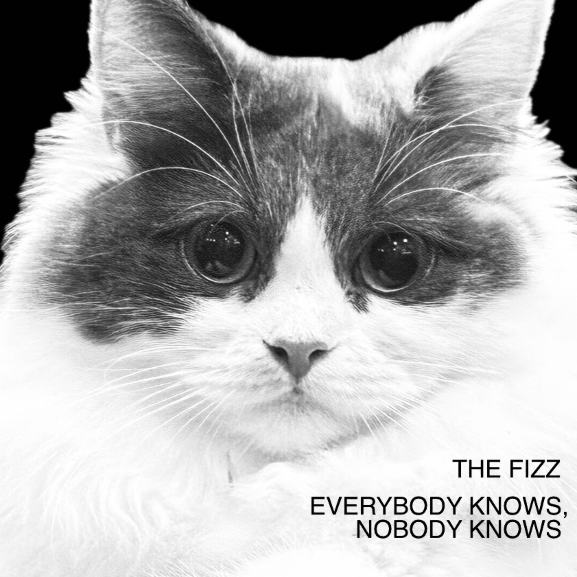 Album cover of EVERYBODY KNOWS, NOBODY KNOWS