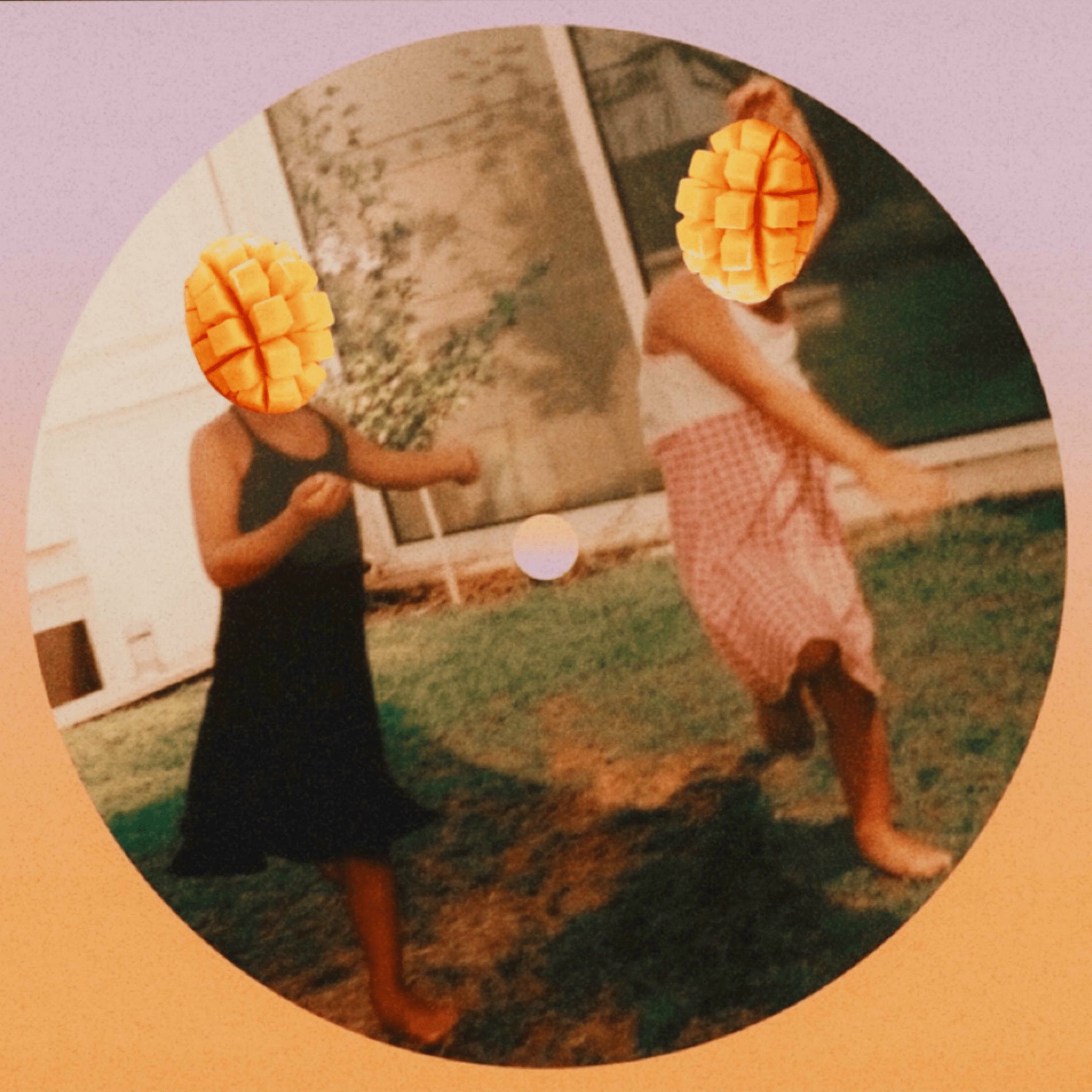 Album cover of Plaisir mango