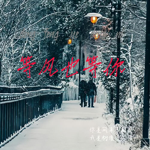 等风也等你