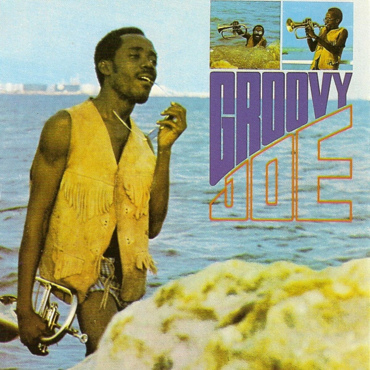 Album cover of Groovy Joe