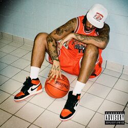 Cover of Flu Game