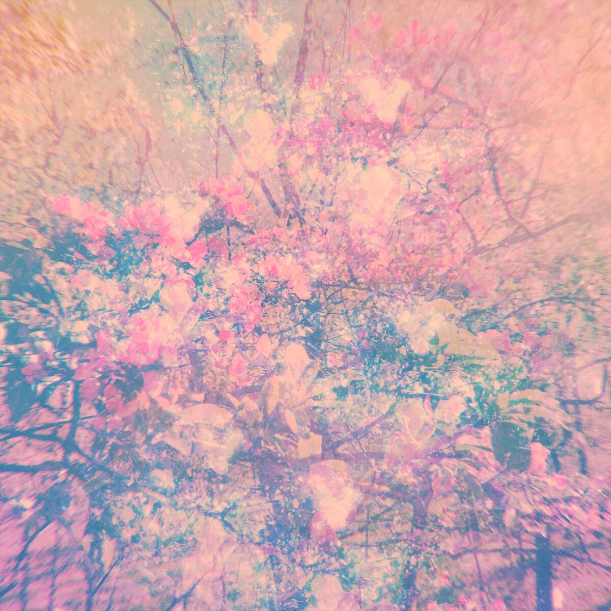 Album cover of Motions