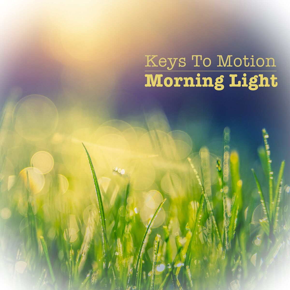 Album cover of Morning Light
