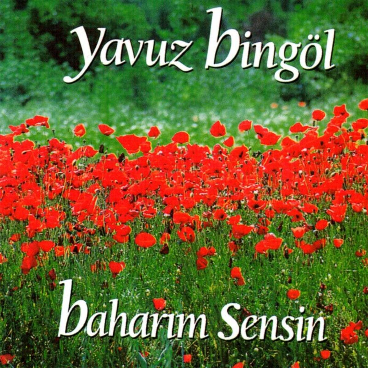 Album cover of Ağlama Yar