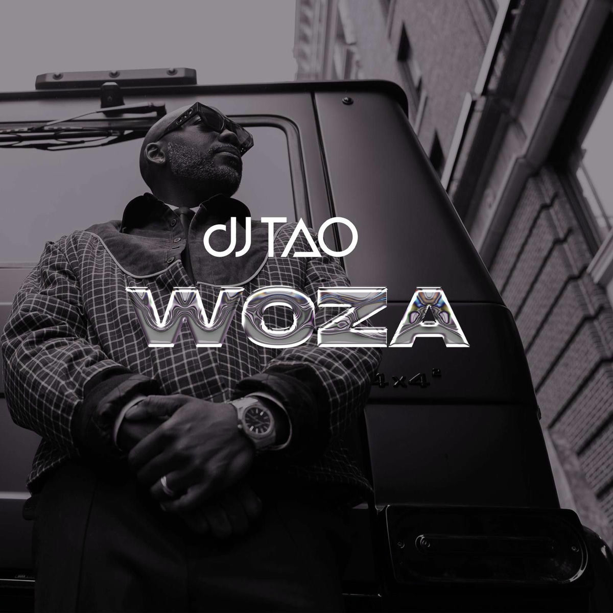 Album cover of WOZA