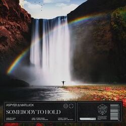 Cover of Somebody To Hold
