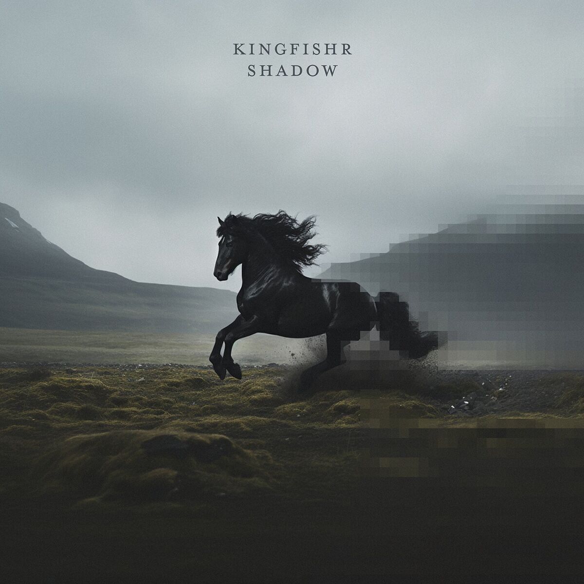 Album cover of Shadow